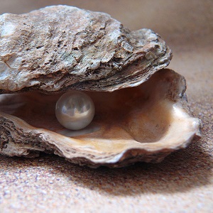 perle dans huître