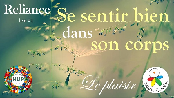 graine de pissenlit qui flotte entre des plantes