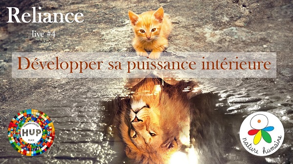 un chat se voit lion dans une flaque d'eau