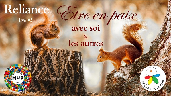 2 écureuils sur des troncs d'arbre
