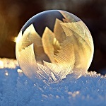 feuilles dores dans boule de verre
