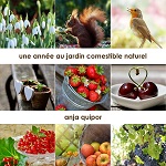 mosaique images nature