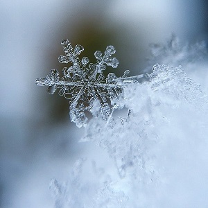 flocon de glace