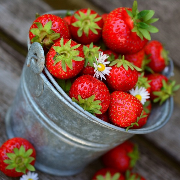 panier de fraises