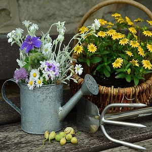 soins jardin