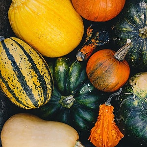courges