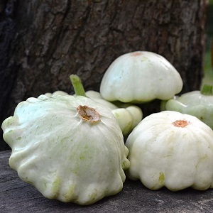 pâtisson