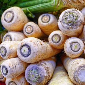 panais
