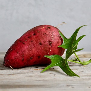 patate douce
