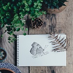 carnets