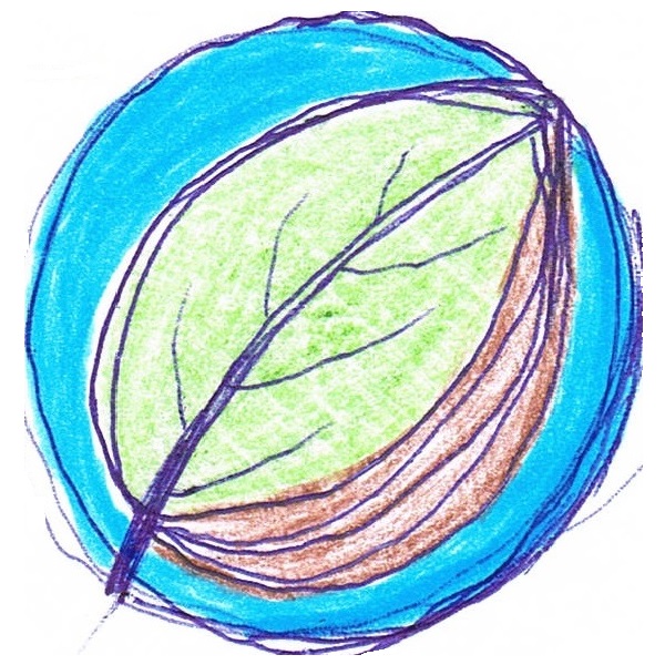 dessin feuille