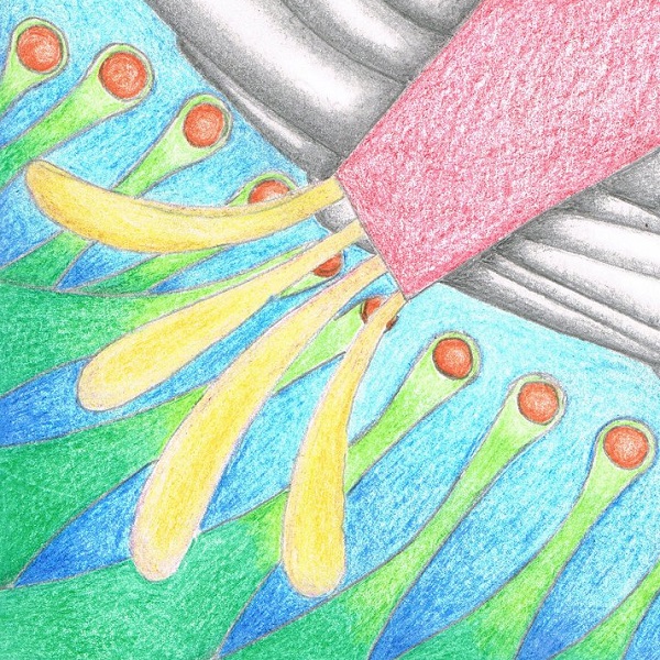 dessin abstrait