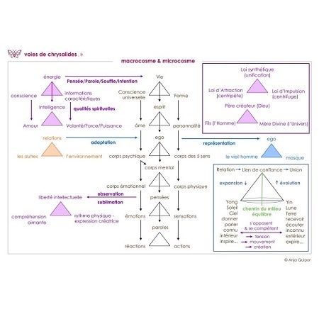 macrocosme-microcosme