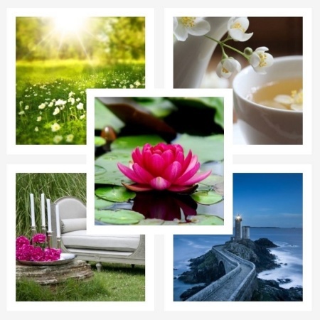 offre-pack_339957241