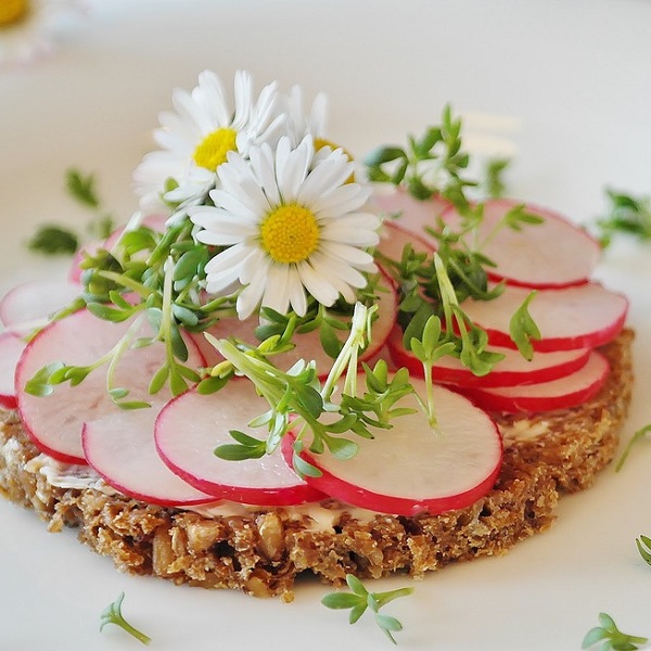 sandwich aux radis et graines germées