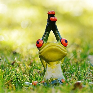 statut de grenouille en posture de yoga - en etirement