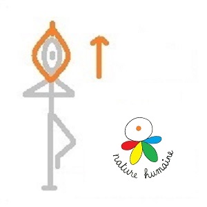 posture de yoga • Arbre • Vrikshasana