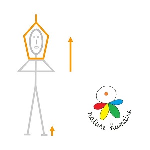 Posture de yoga • S'étirer vers le ciel
