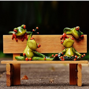 statuts de grenouilles en postures de yoga sur un banc